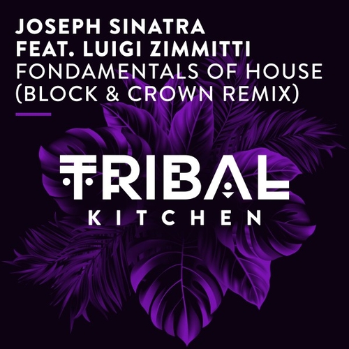 Joseph Sinatra, Luigi Zimmitti - Fondamentals of House (Block & Crown Remix) [TK274]